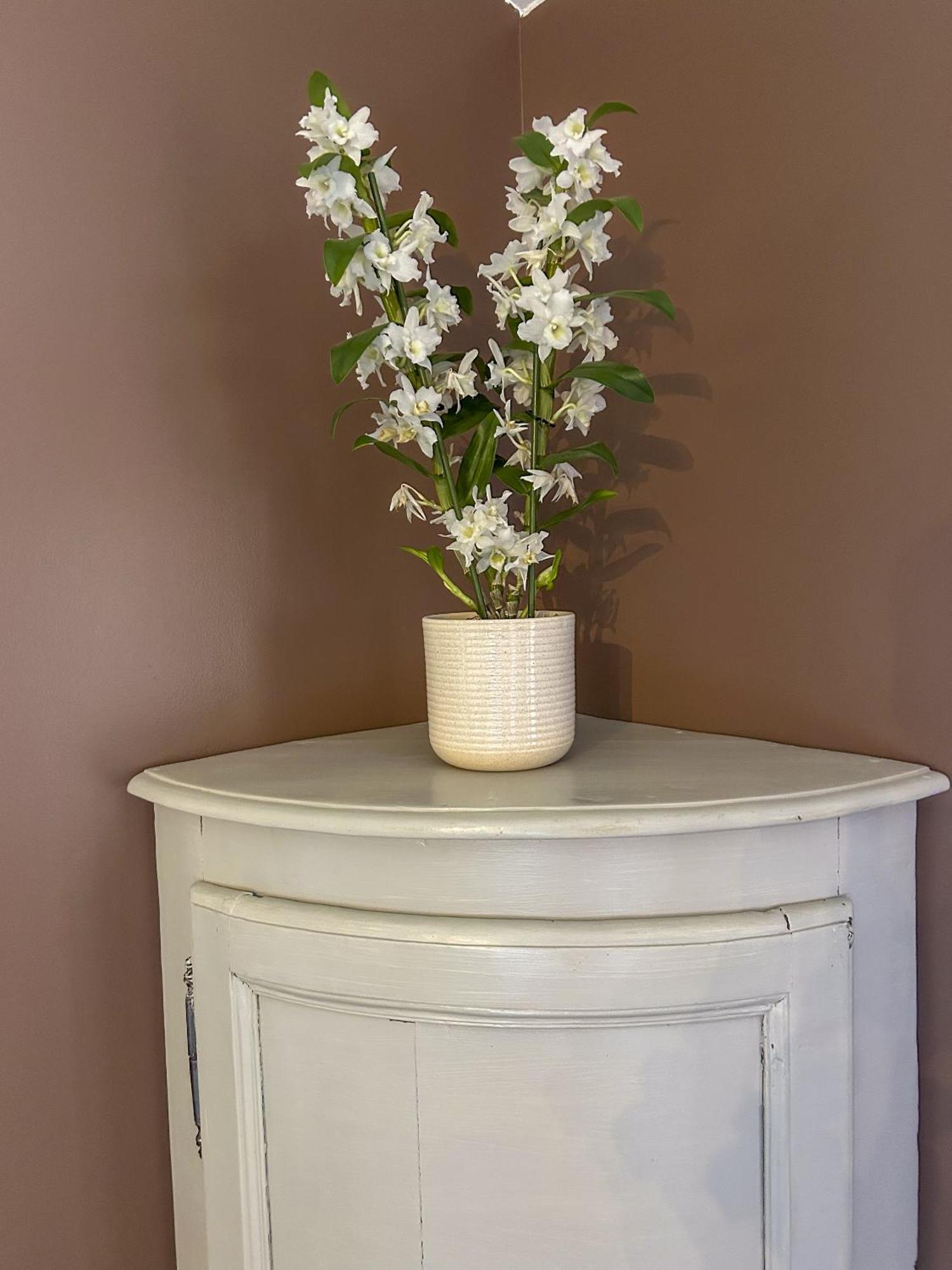 Maison Belles Pierres Montagny-les-Beaune Room photo
